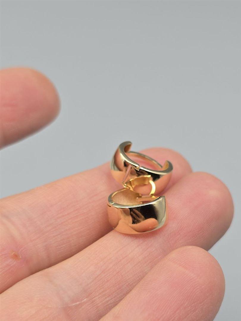 گوشواره ساناز