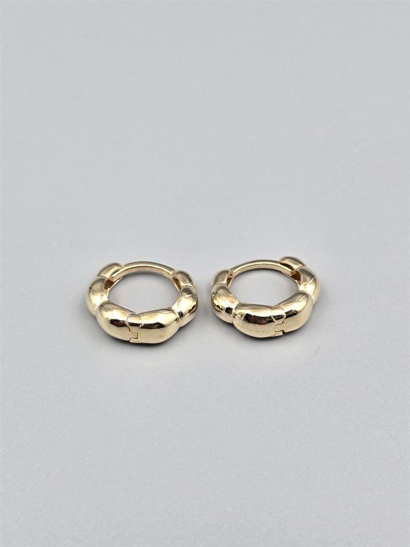 گوشواره ساناز