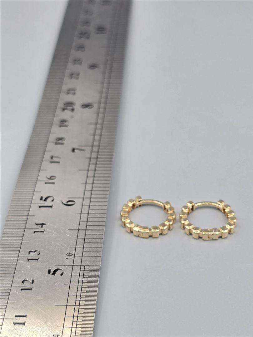 گوشواره ساناز