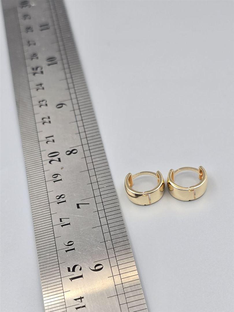 گوشواره ساناز