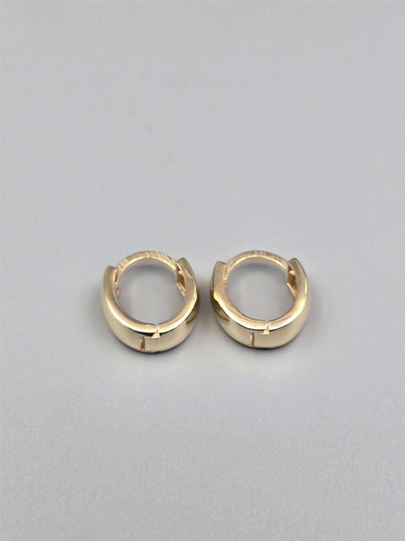 گوشواره ساناز