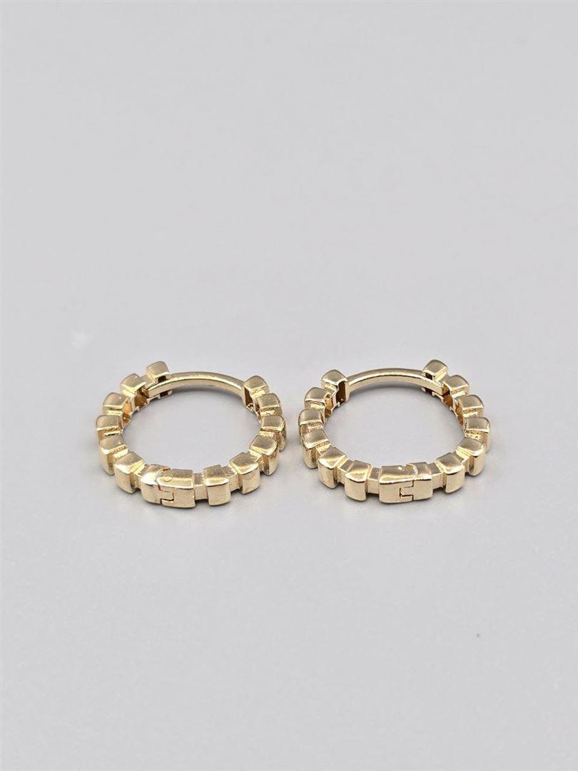 گوشواره ساناز