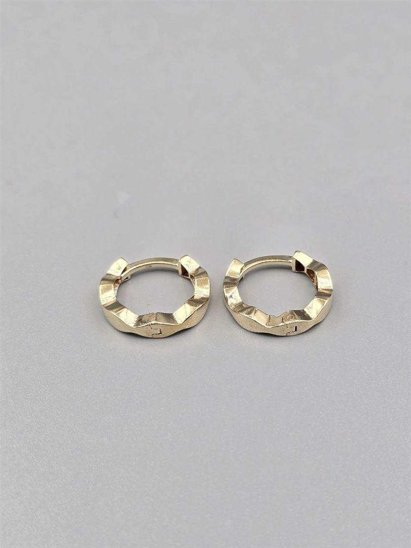 گوشواره ساناز