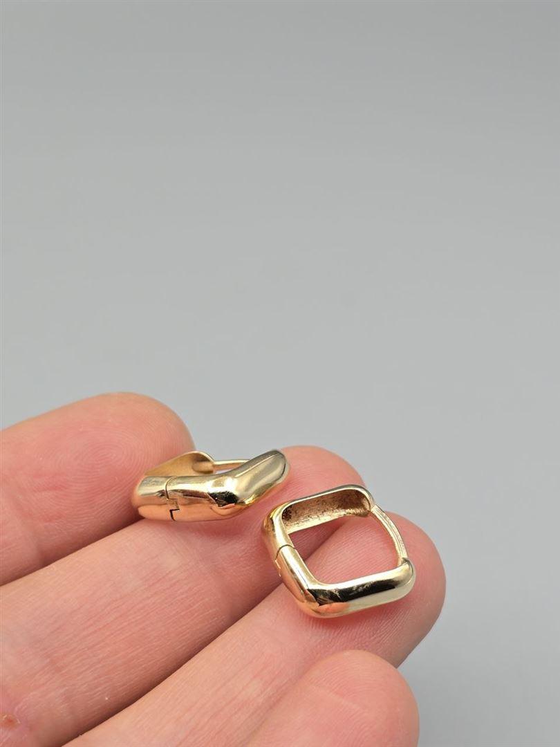 گوشواره ساناز