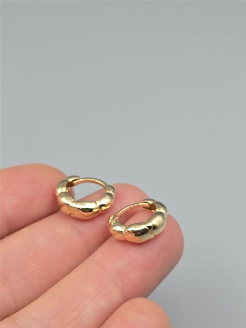 گوشواره ساناز